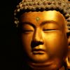 Buddha Quotes