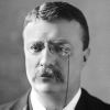 Theodore Roosevelt Quotes